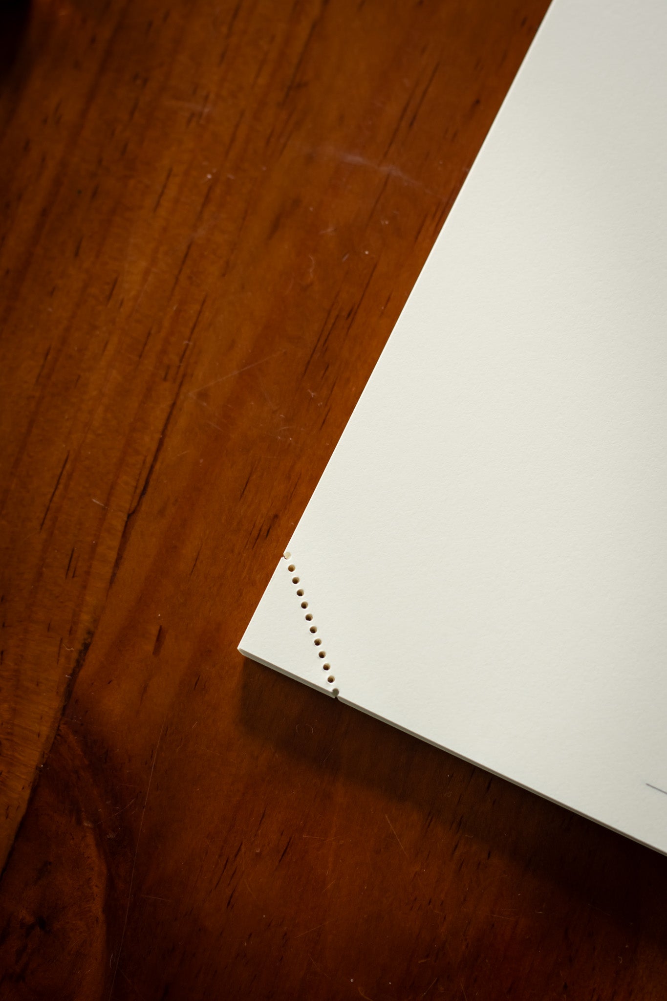 MD Notebook - Codex Blank