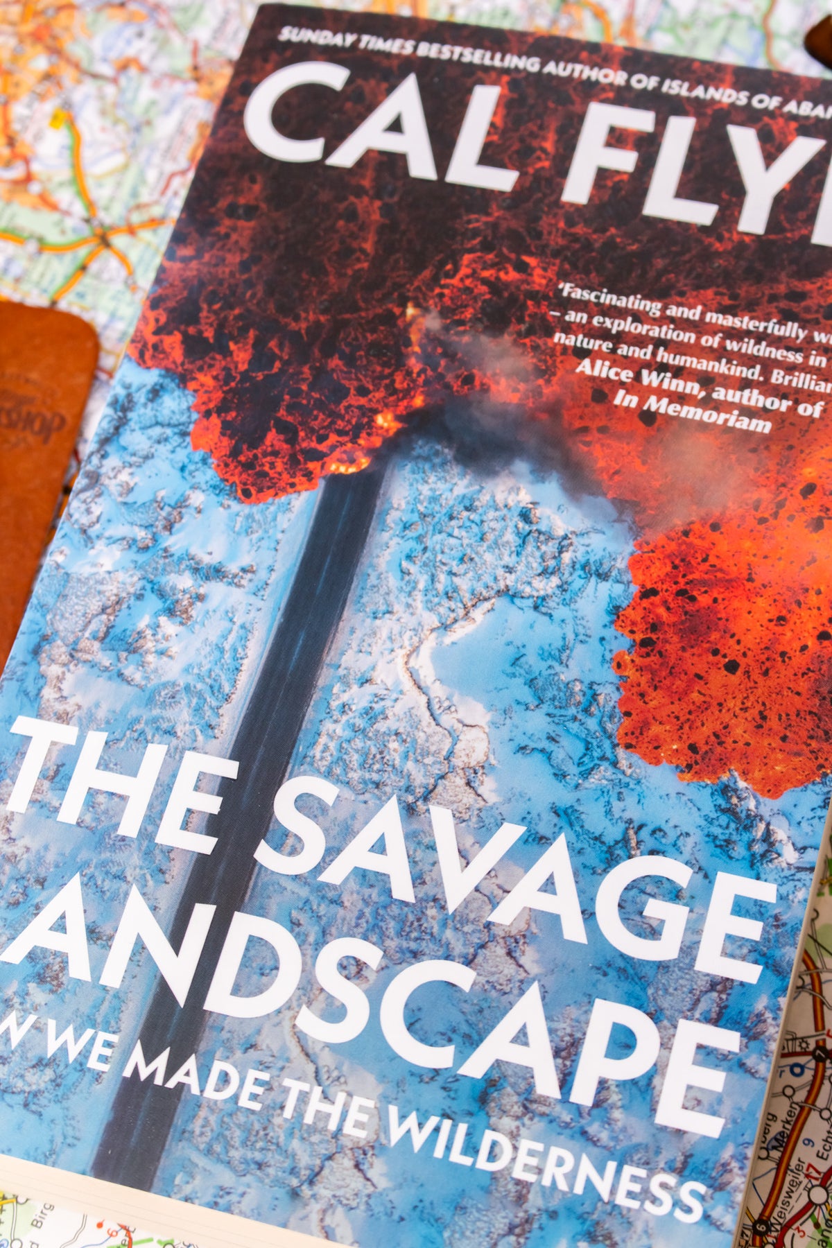 Savage Landscape