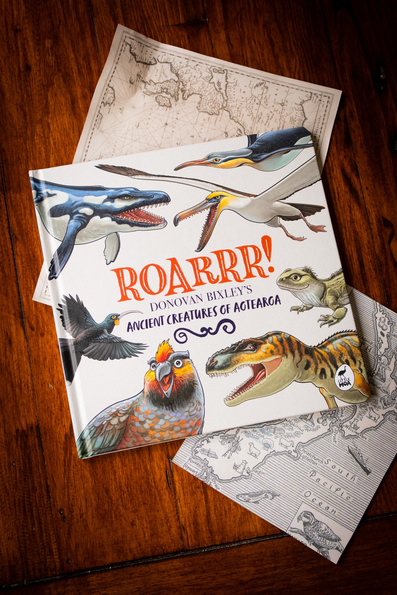 Roarrr!