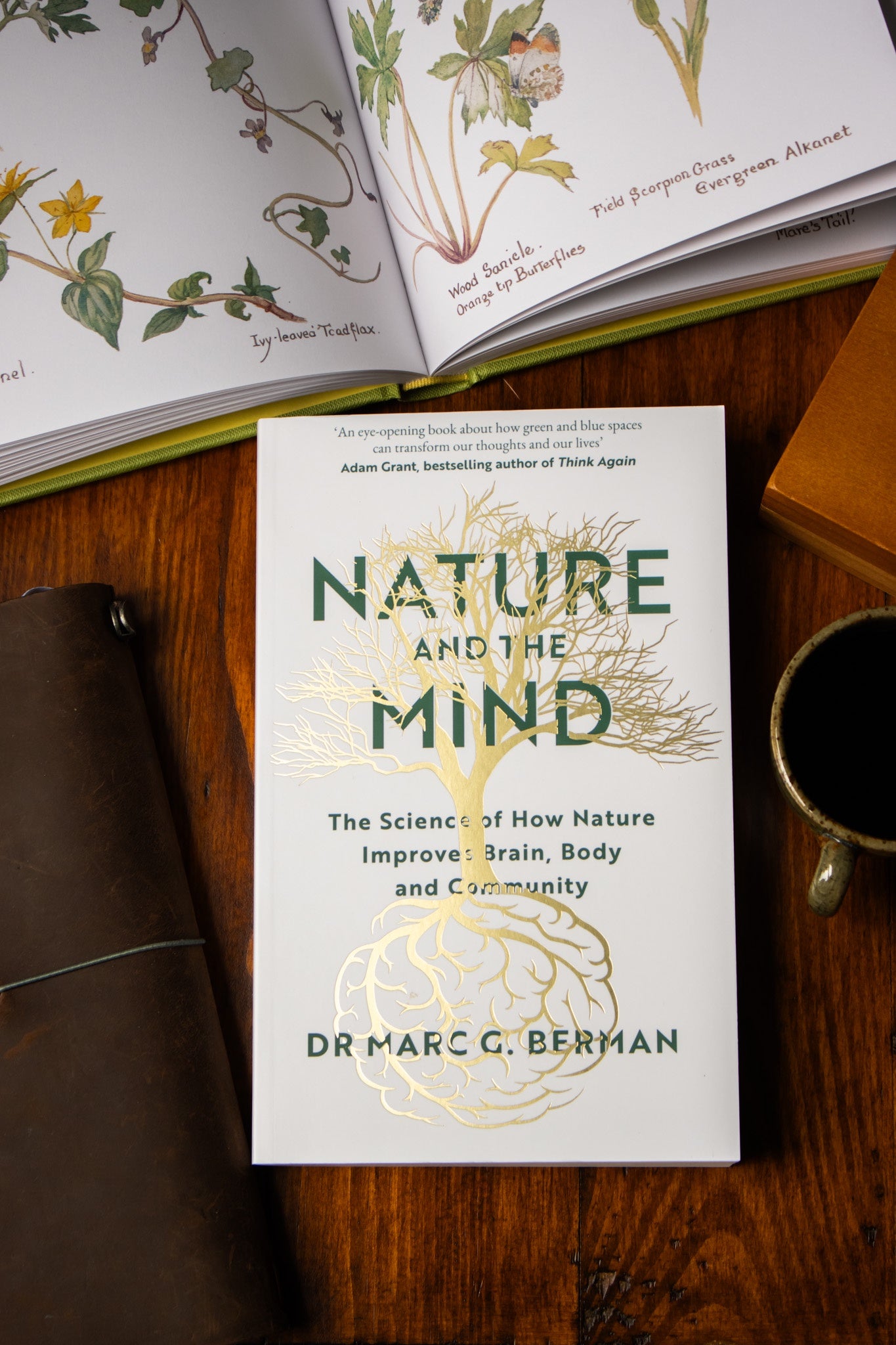 Nature and the Mind
