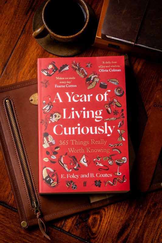 Year of Living Curiously (Paperback)