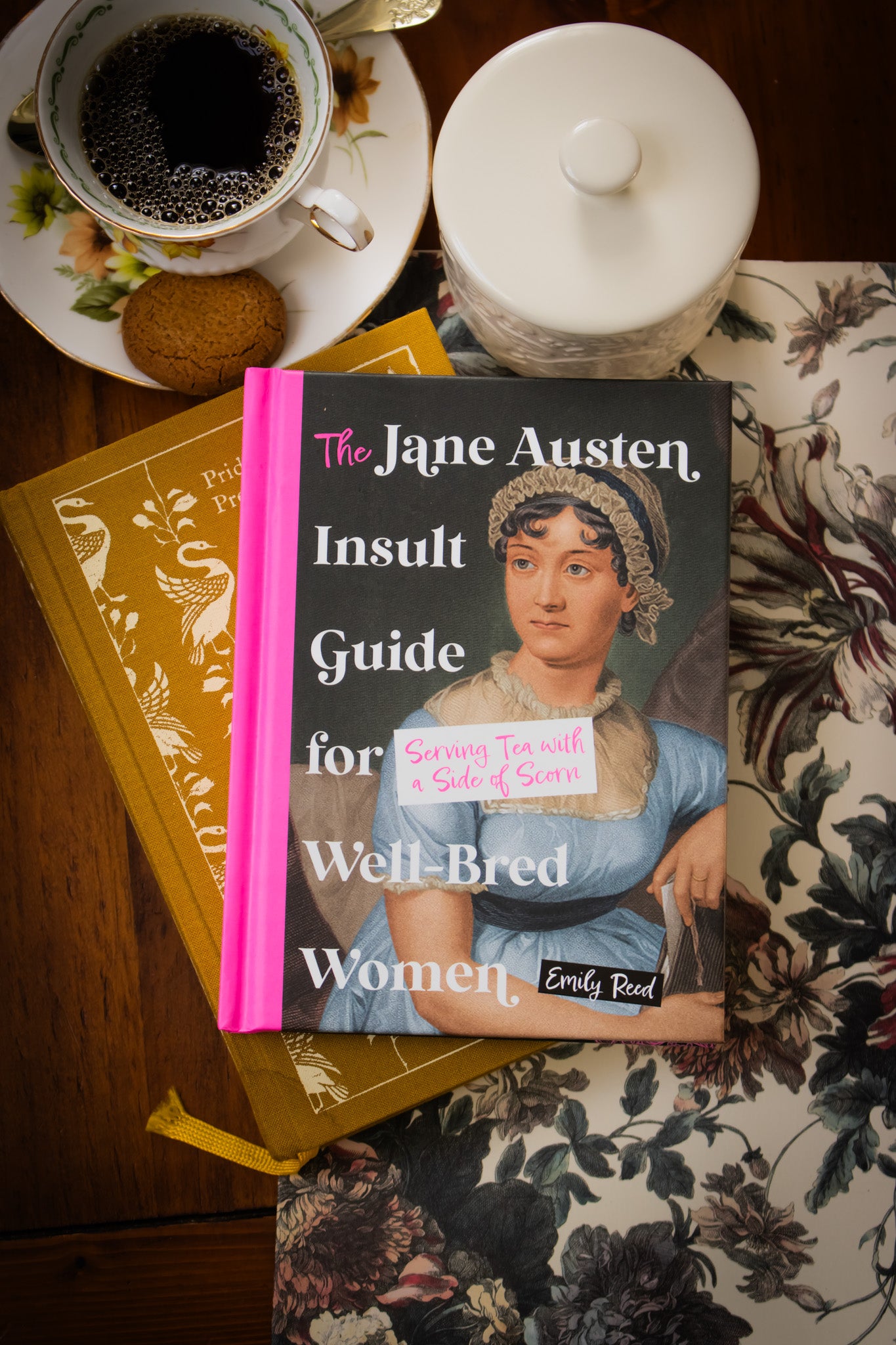 Jane Austen Insult Guide