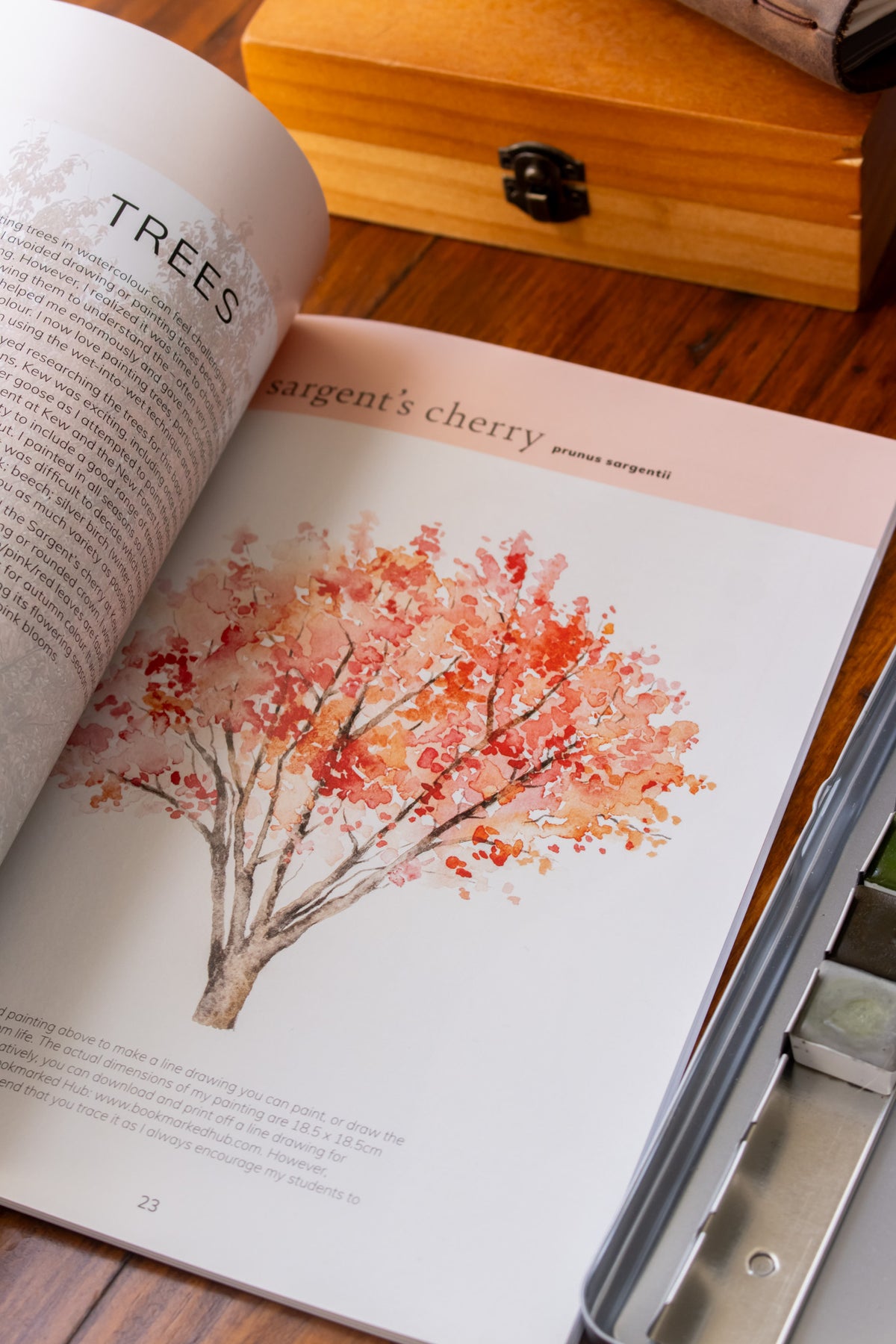 Colour Mixing Guide Watercolour Woodland