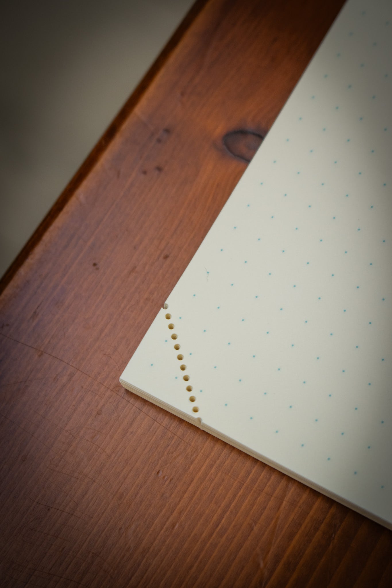 MD Notebook - Codex Dot Grid