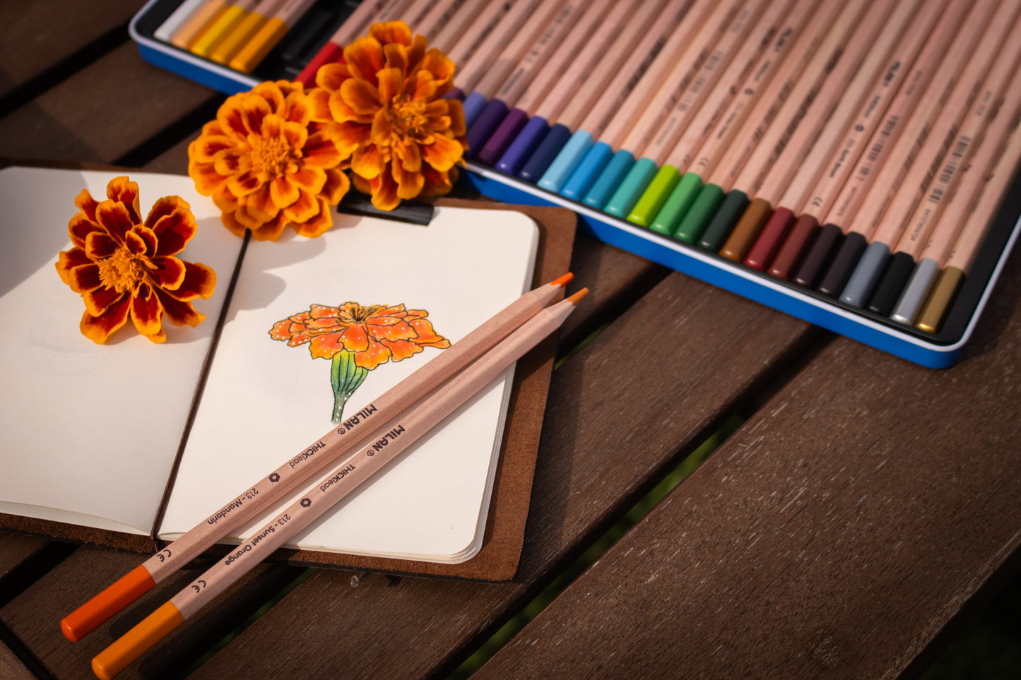 Thick Lead Colour Pencils Metal Box (36 Pack)