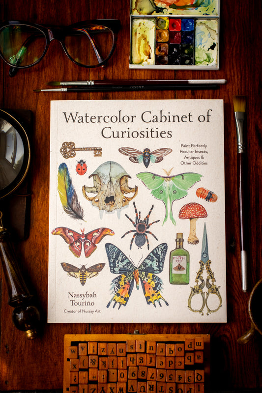 Watercolor Cabinet of Curiosities