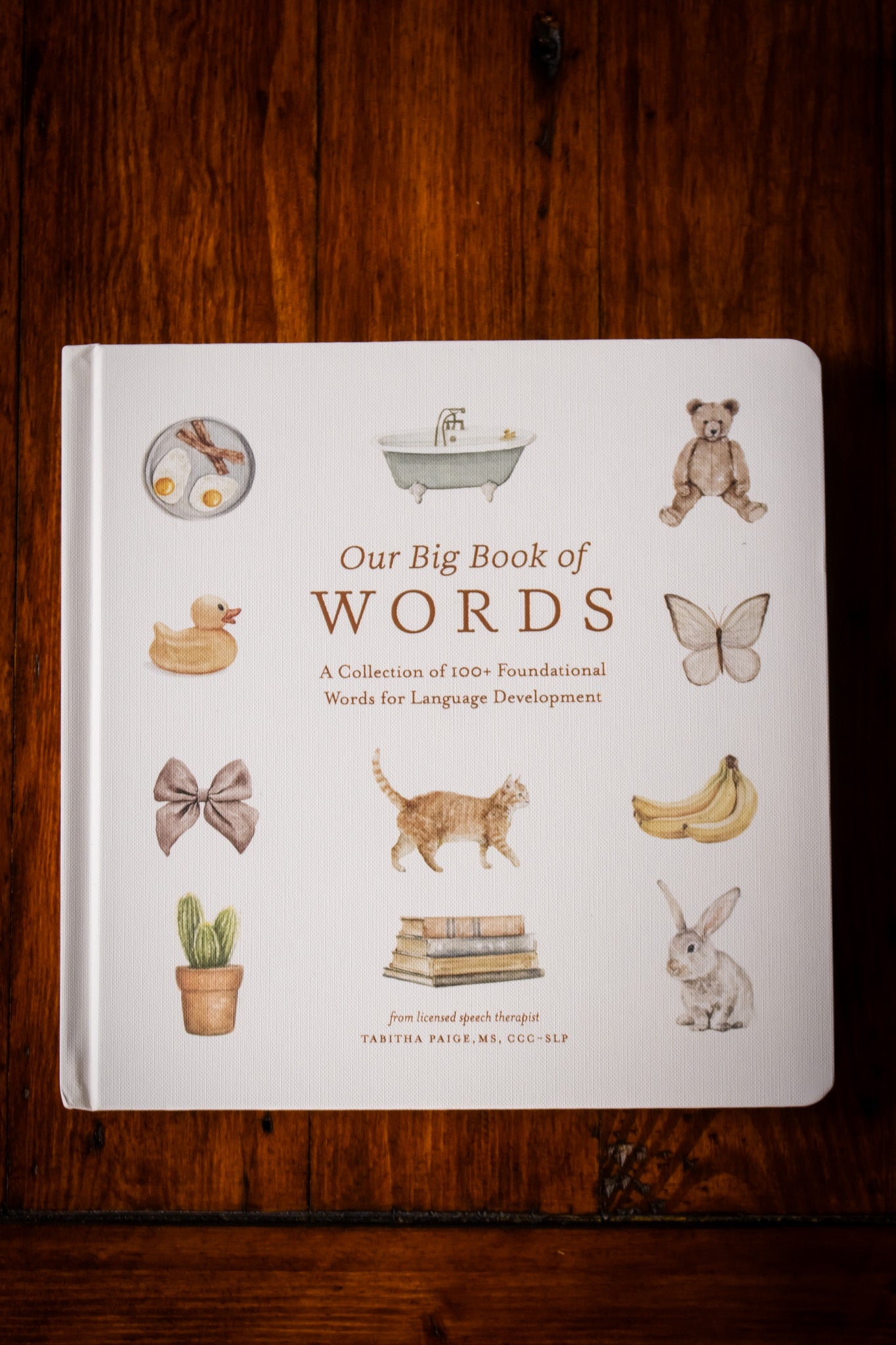 Our Big Book of First Words