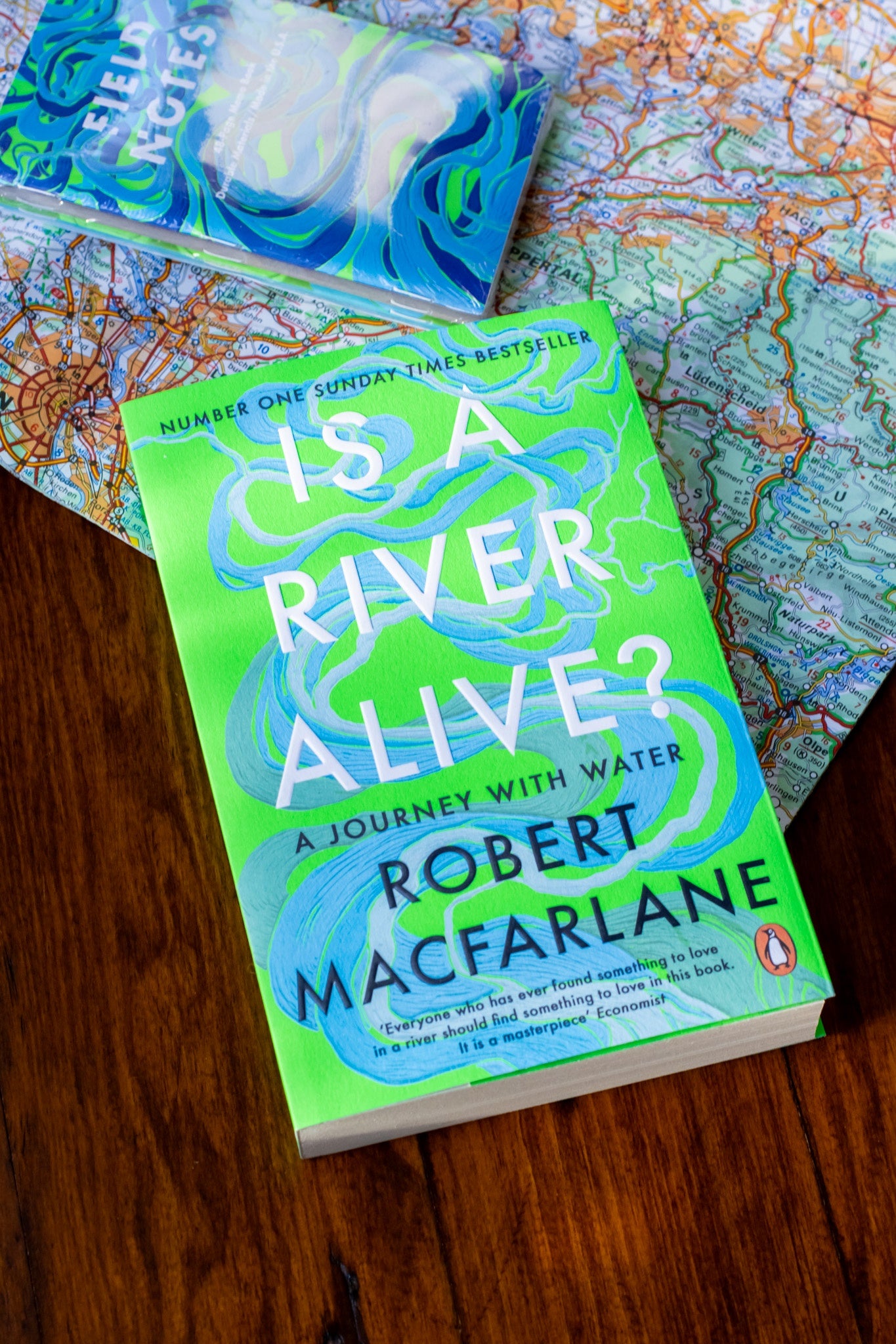 Is a River Alive?