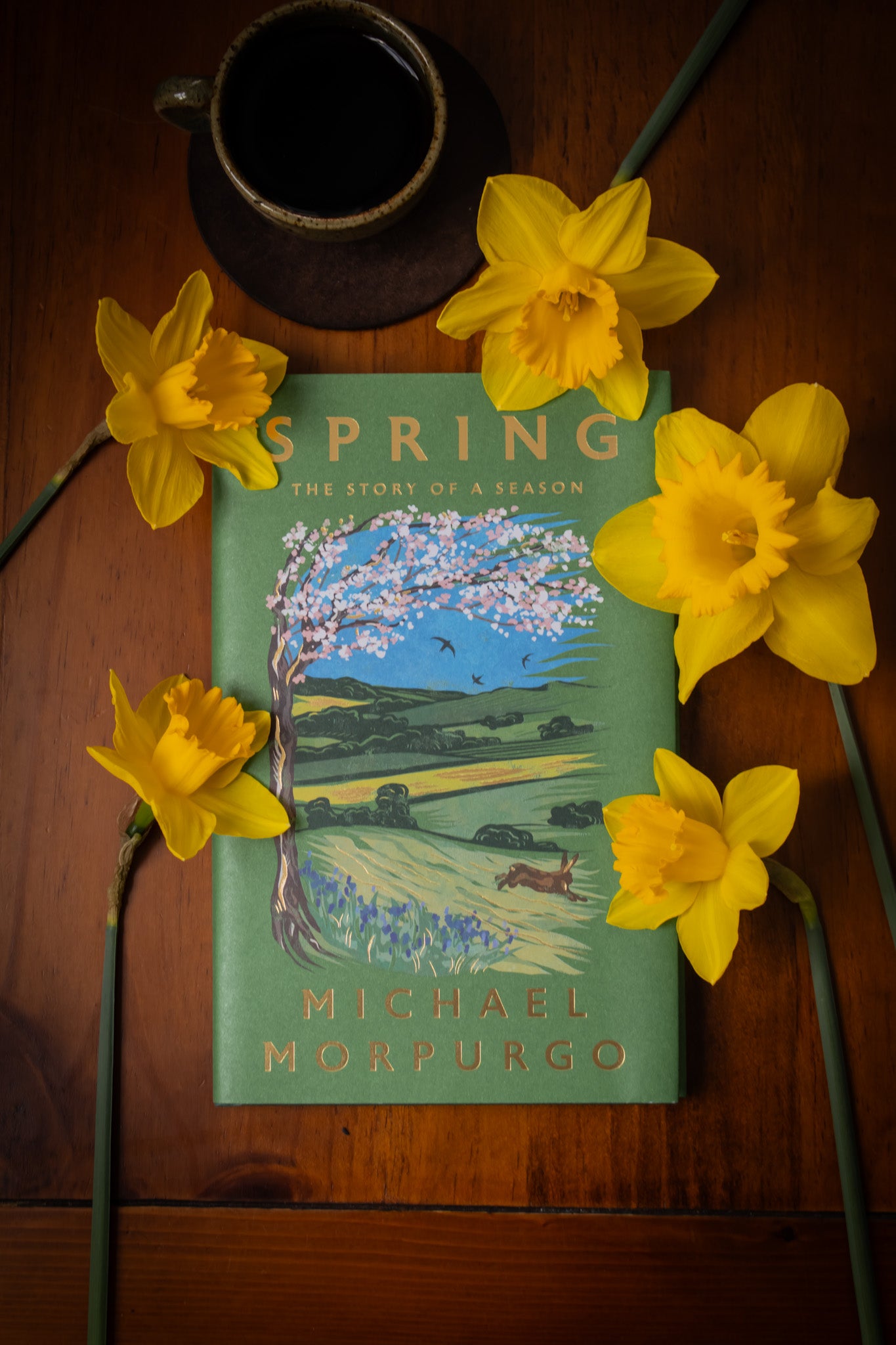 Spring (Hardcover)