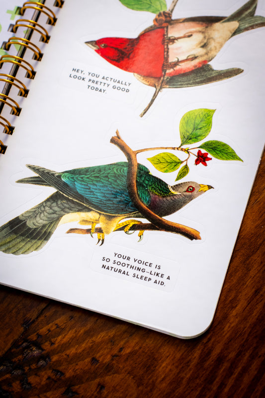 Salty Birds Sticker Book