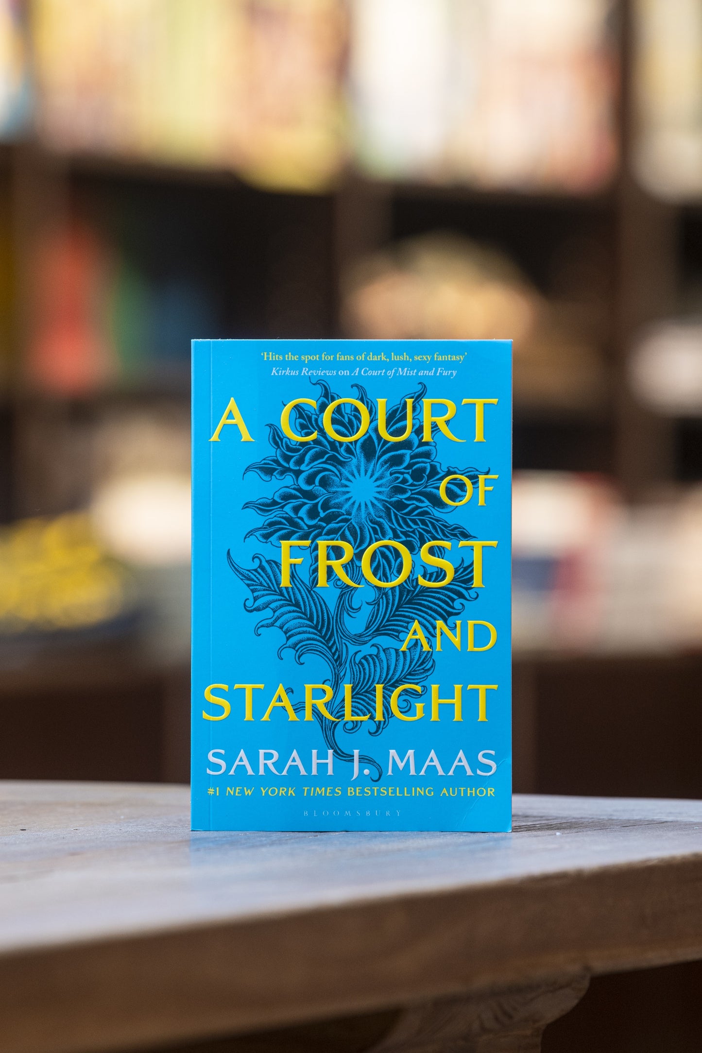 Court of Frost and Starlight