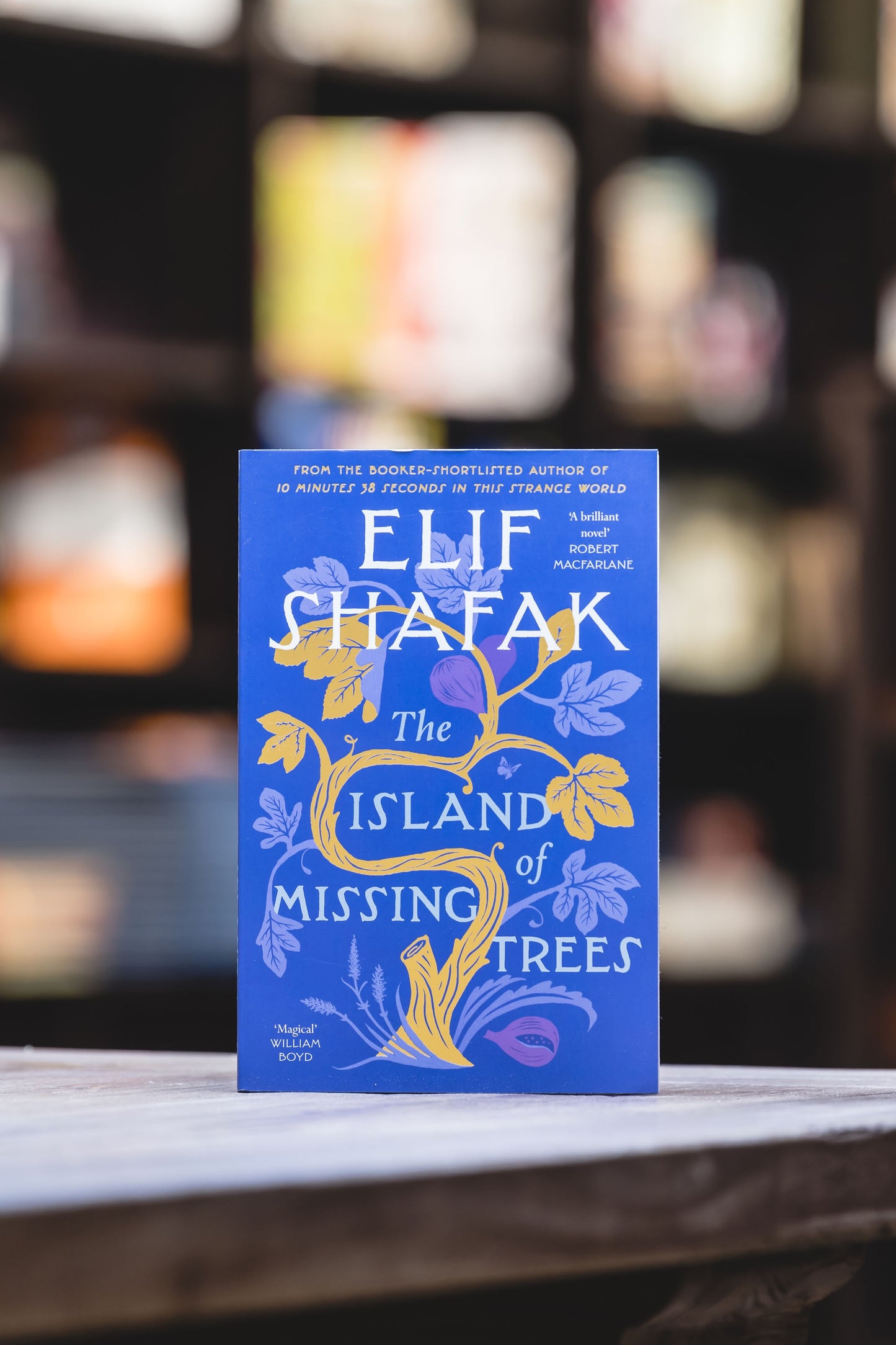 Island of Missing Trees