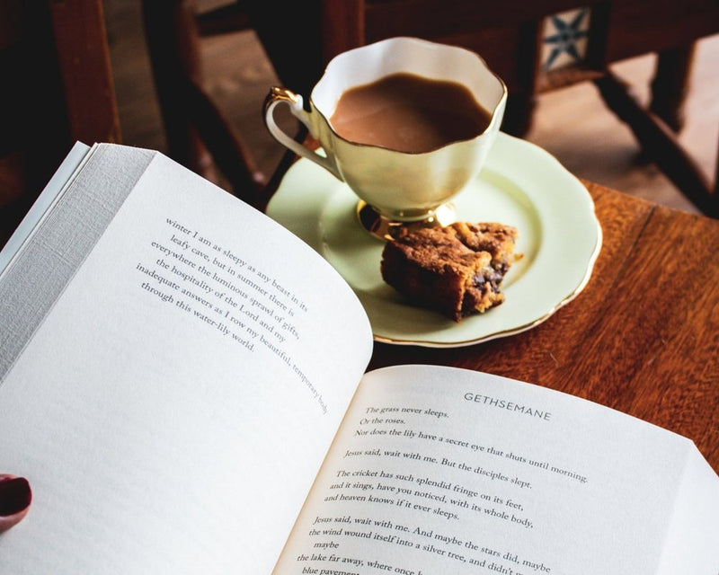 Poetry 101: A Beginner’s Guide to Reading (and Enjoying) Poetry