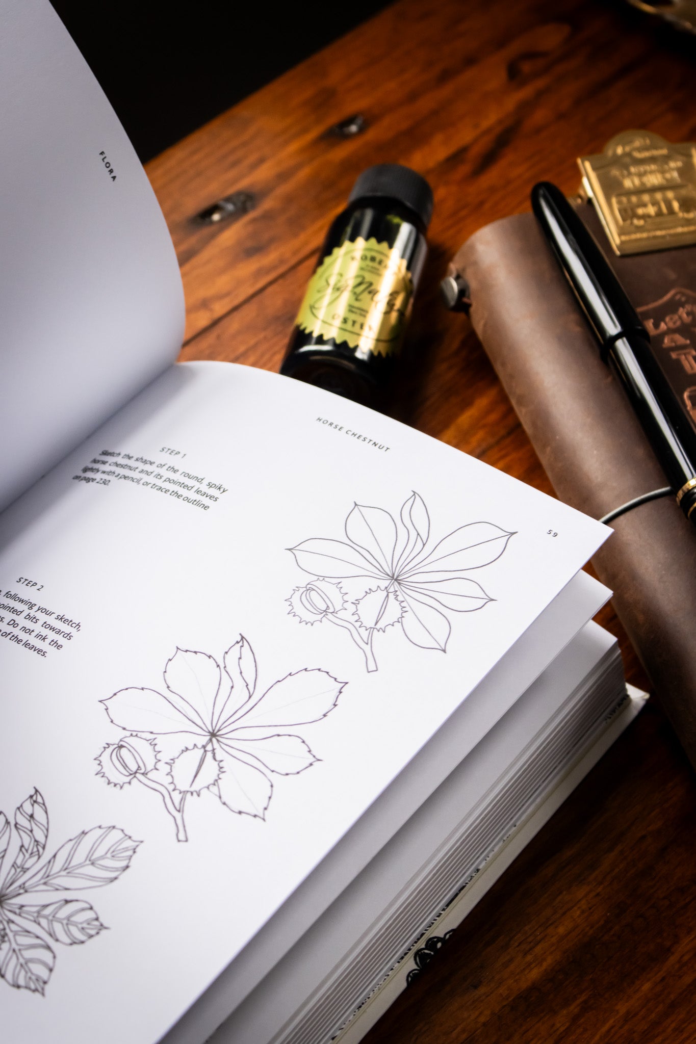 15-Minute Art Pen & Ink