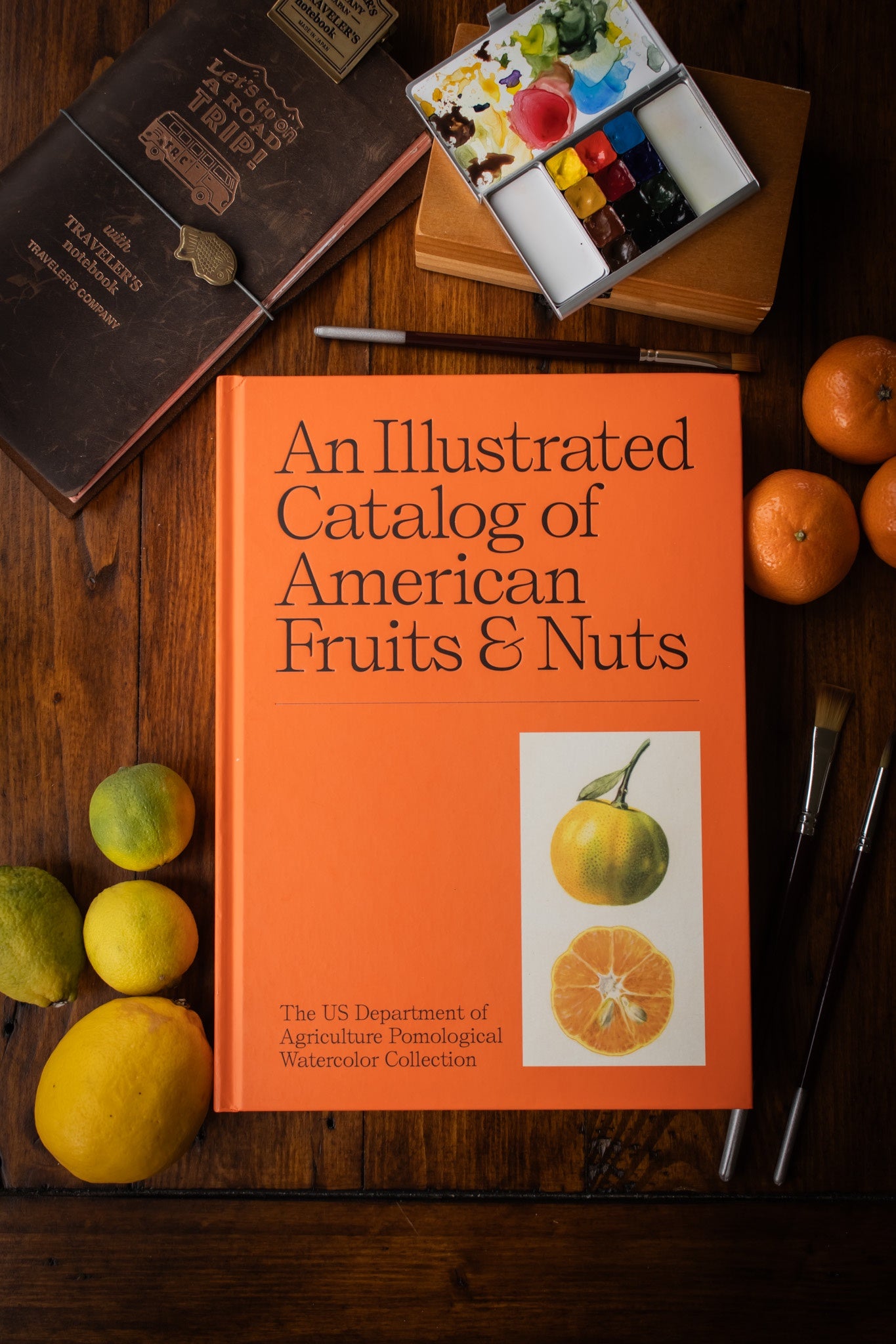 Illustrated Catalog of American Fruits & Nuts