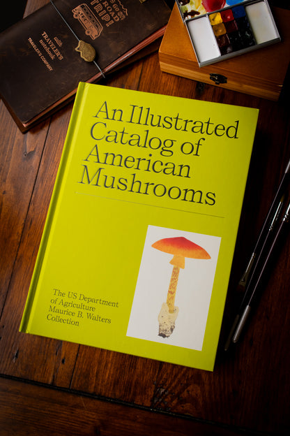 Illustrated Catalog of American Mushrooms