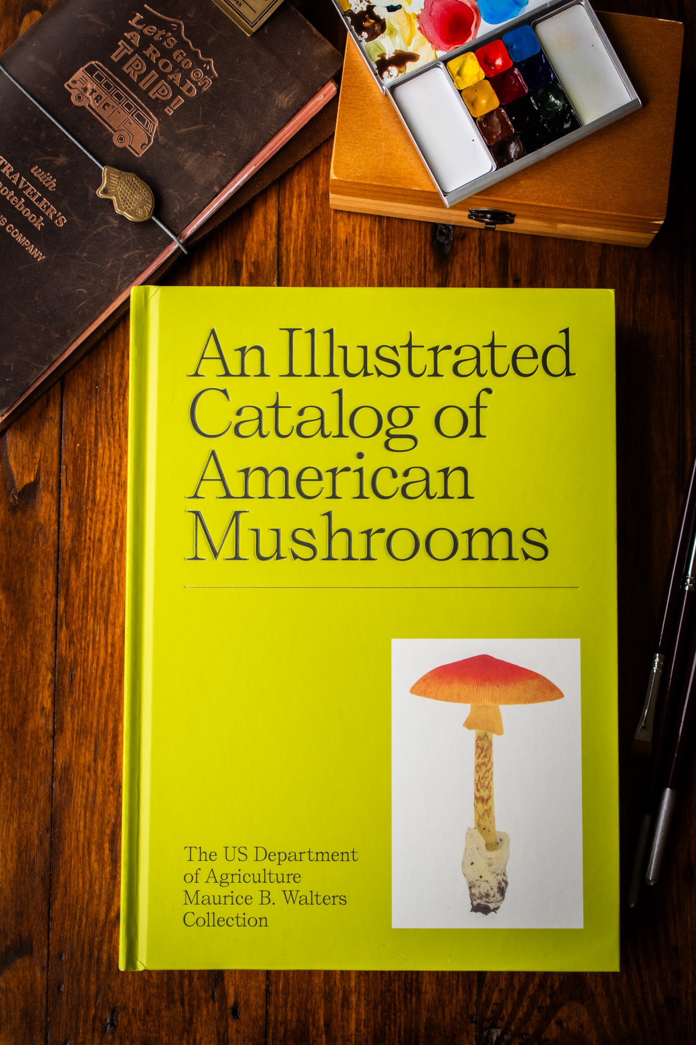 Illustrated Catalog of American Mushrooms