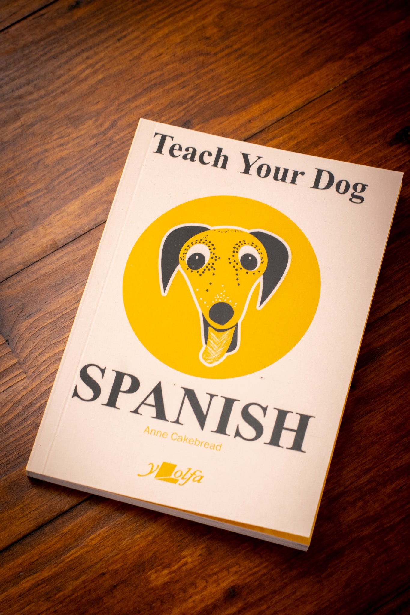 Teach Your Dog Spanish