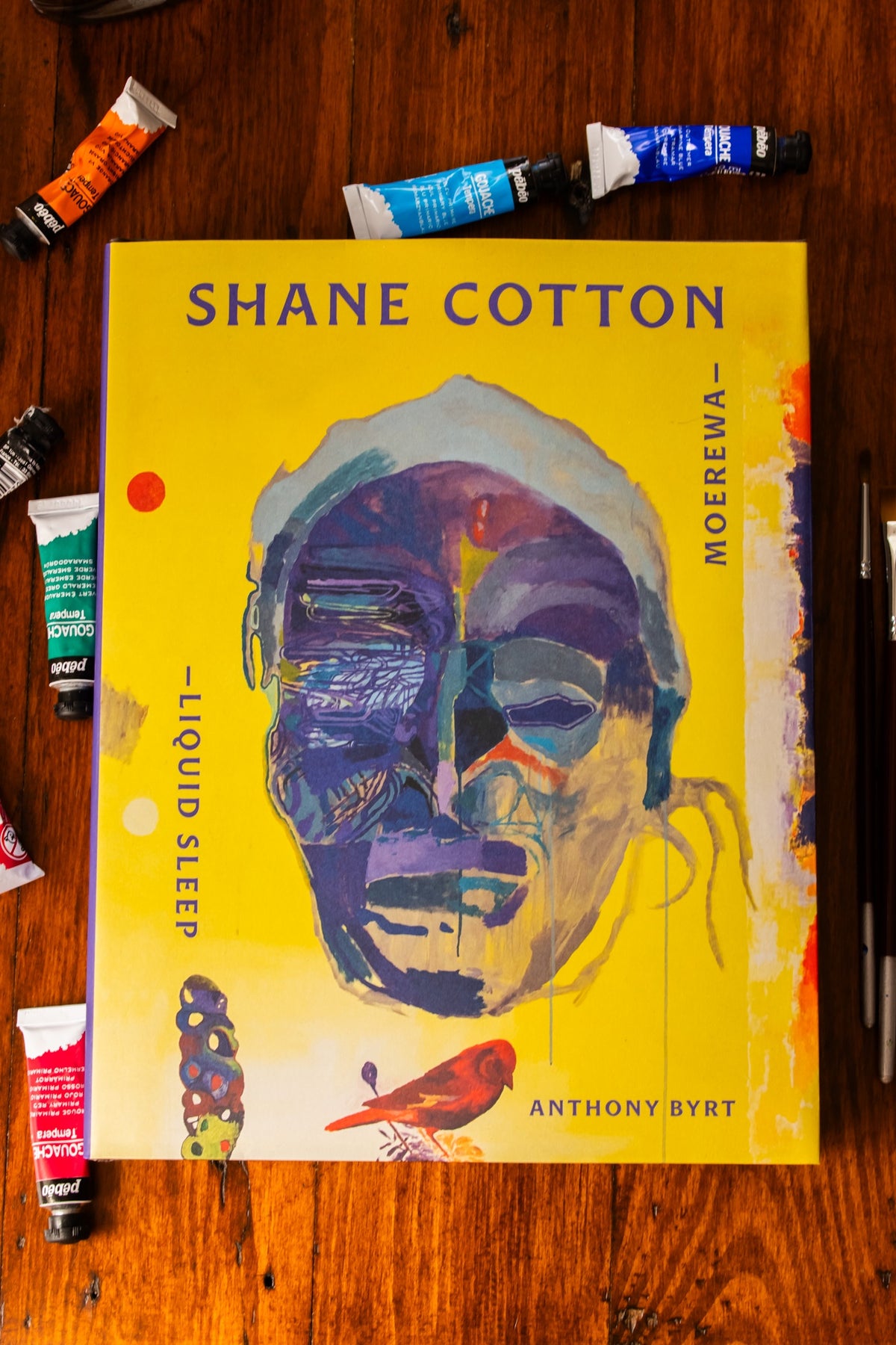 Shane Cotton - Moerewa — Liquid Sleep