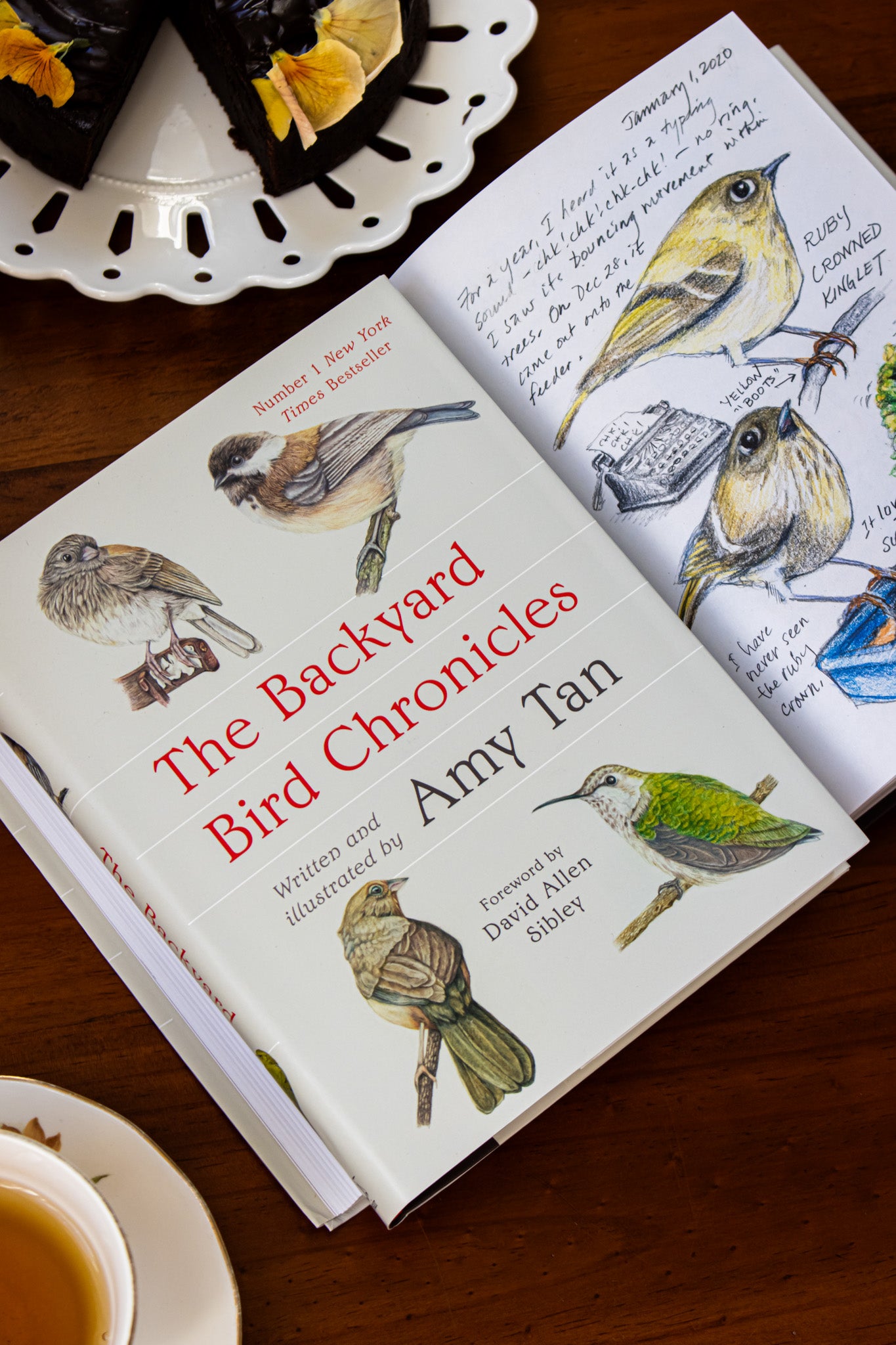 Backyard Bird Chronicles