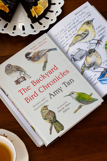 Backyard Bird Chronicles