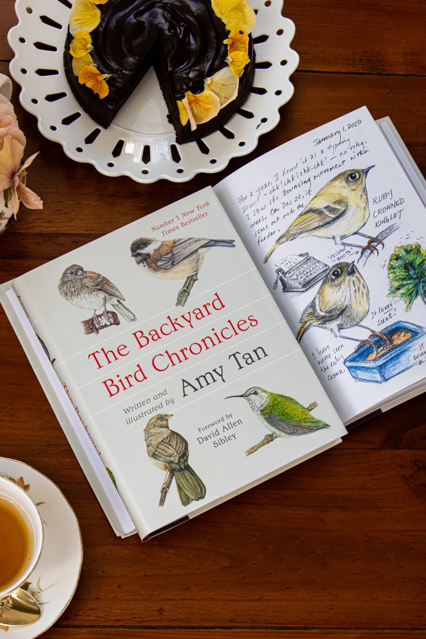 Backyard Bird Chronicles