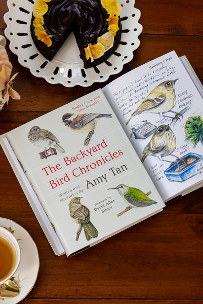 Backyard Bird Chronicles