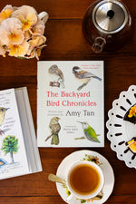Backyard Bird Chronicles
