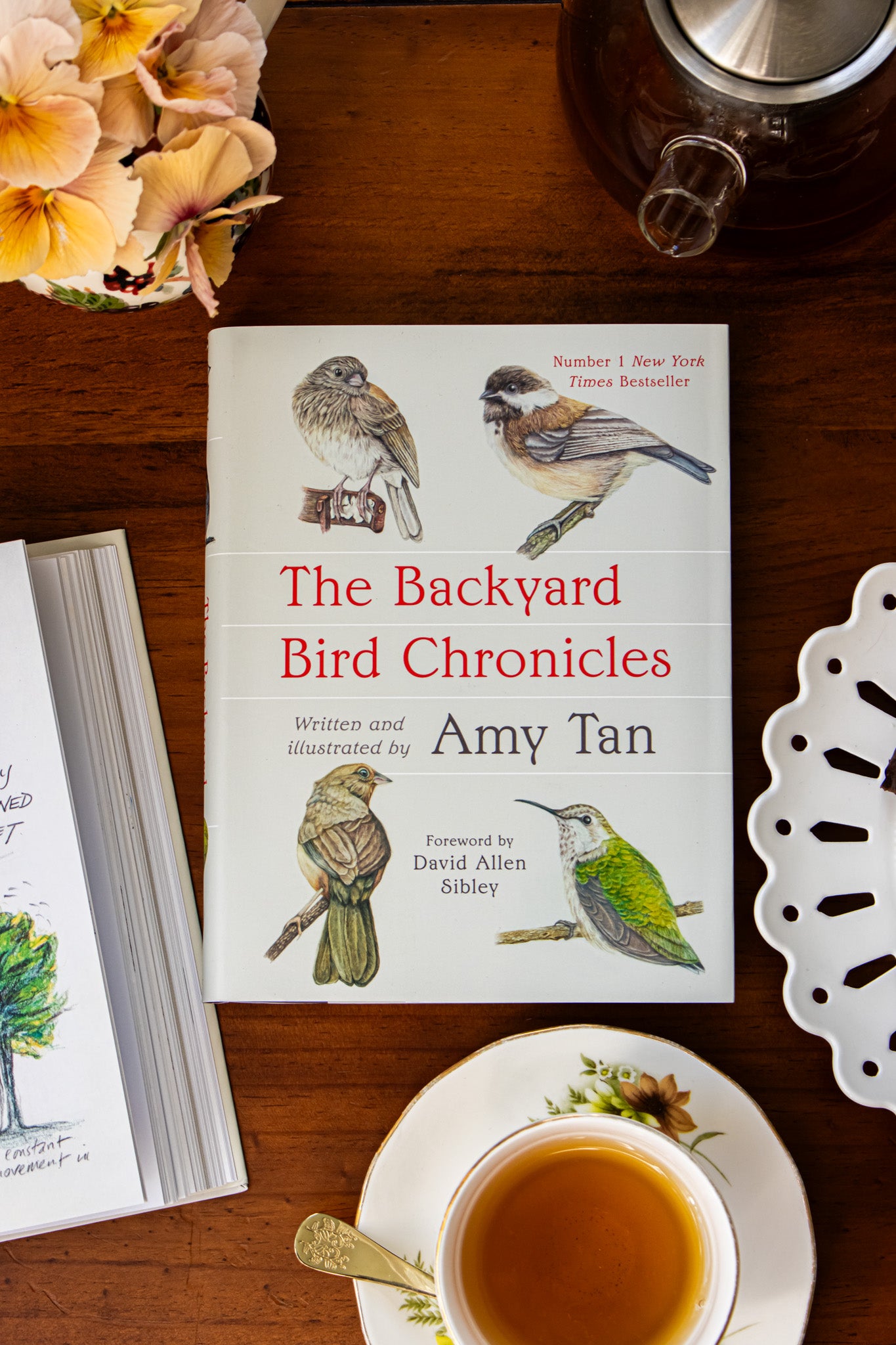 Backyard Bird Chronicles