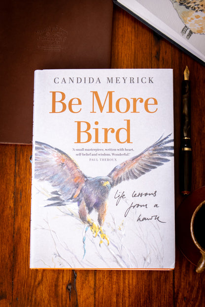 Be More Bird