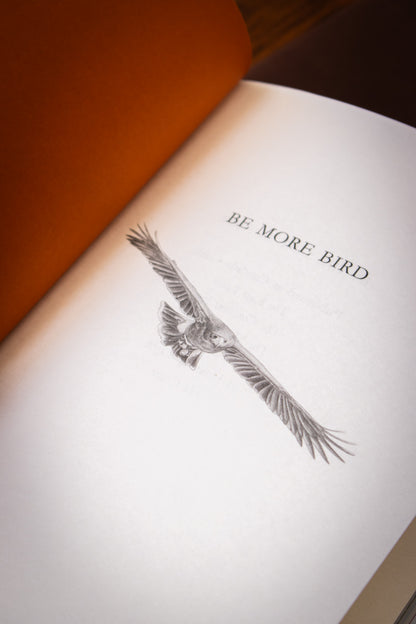 Be More Bird