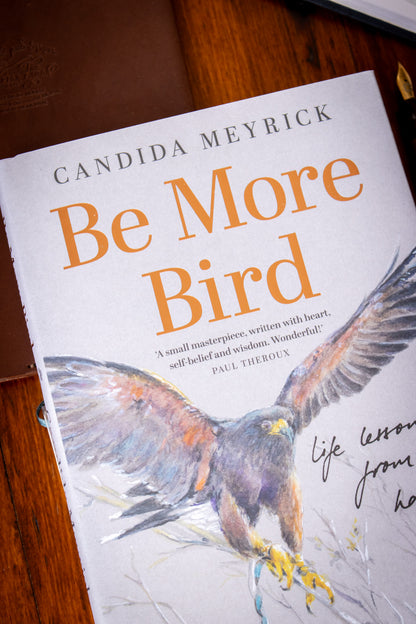 Be More Bird