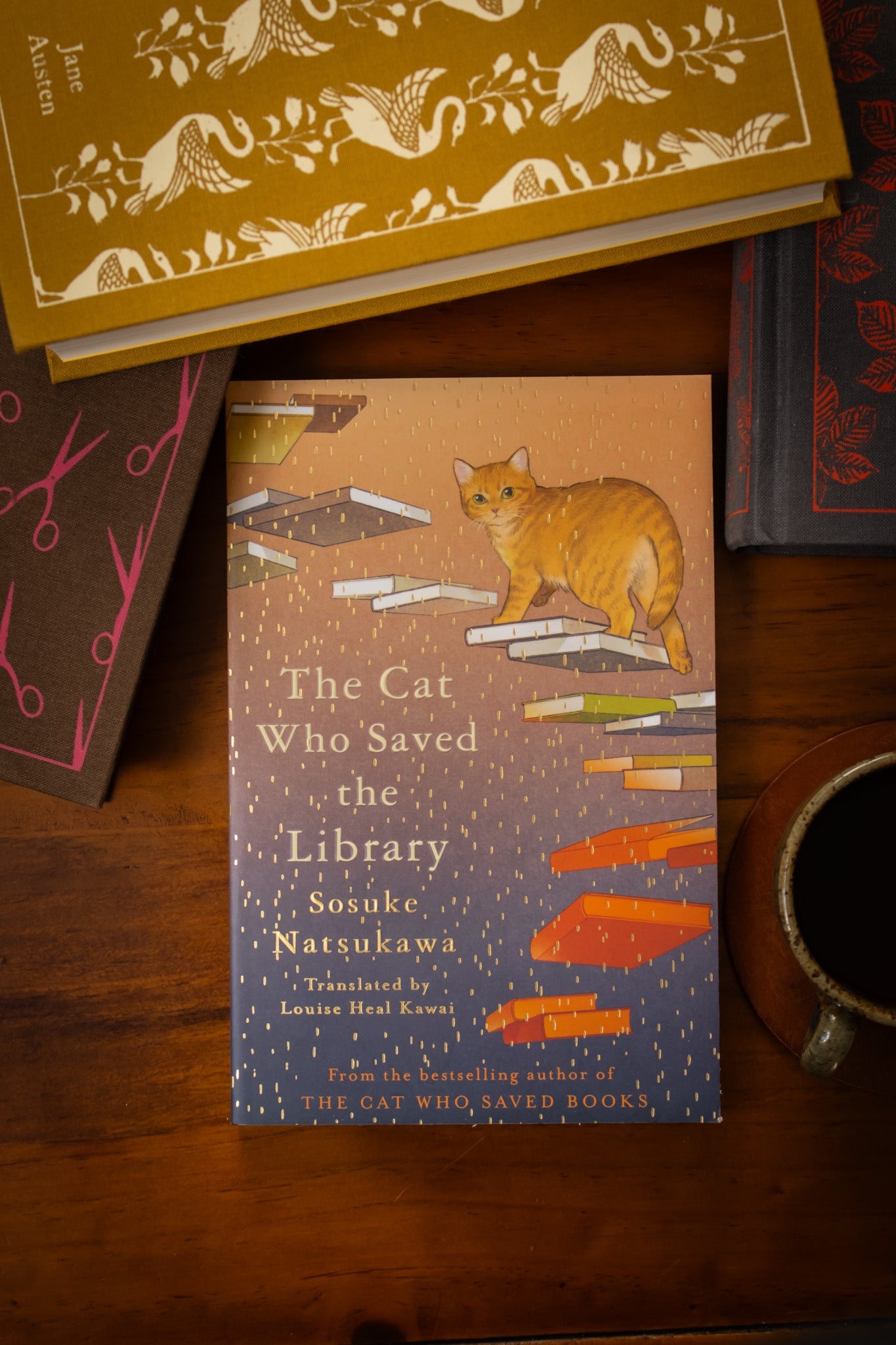 Cat Who Saved the Library, The