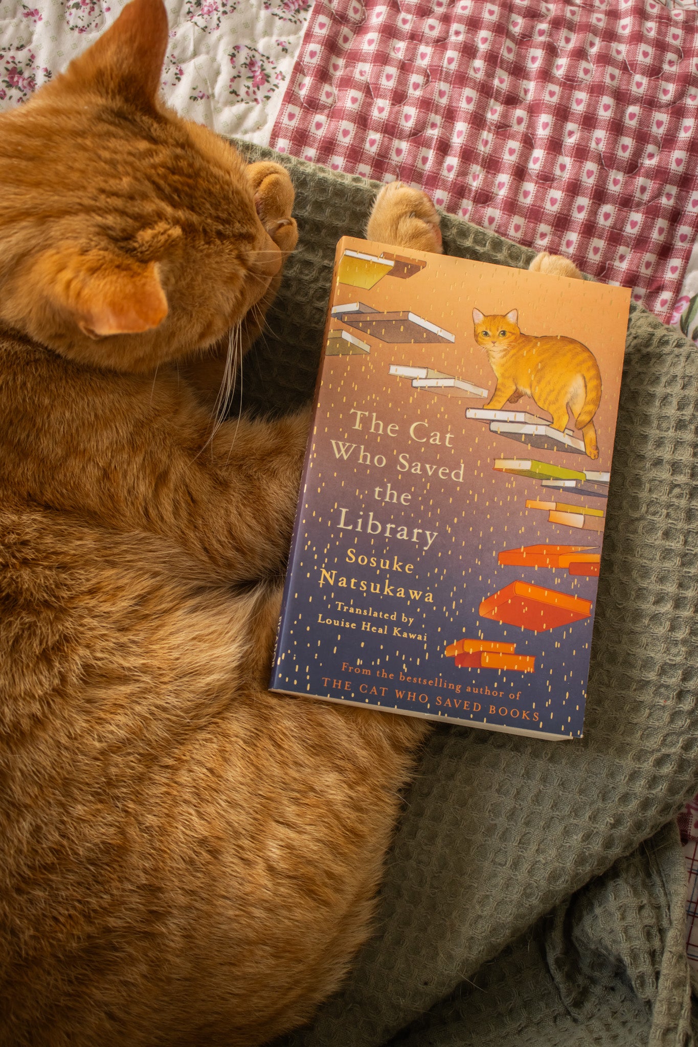 Cat Who Saved the Library, The