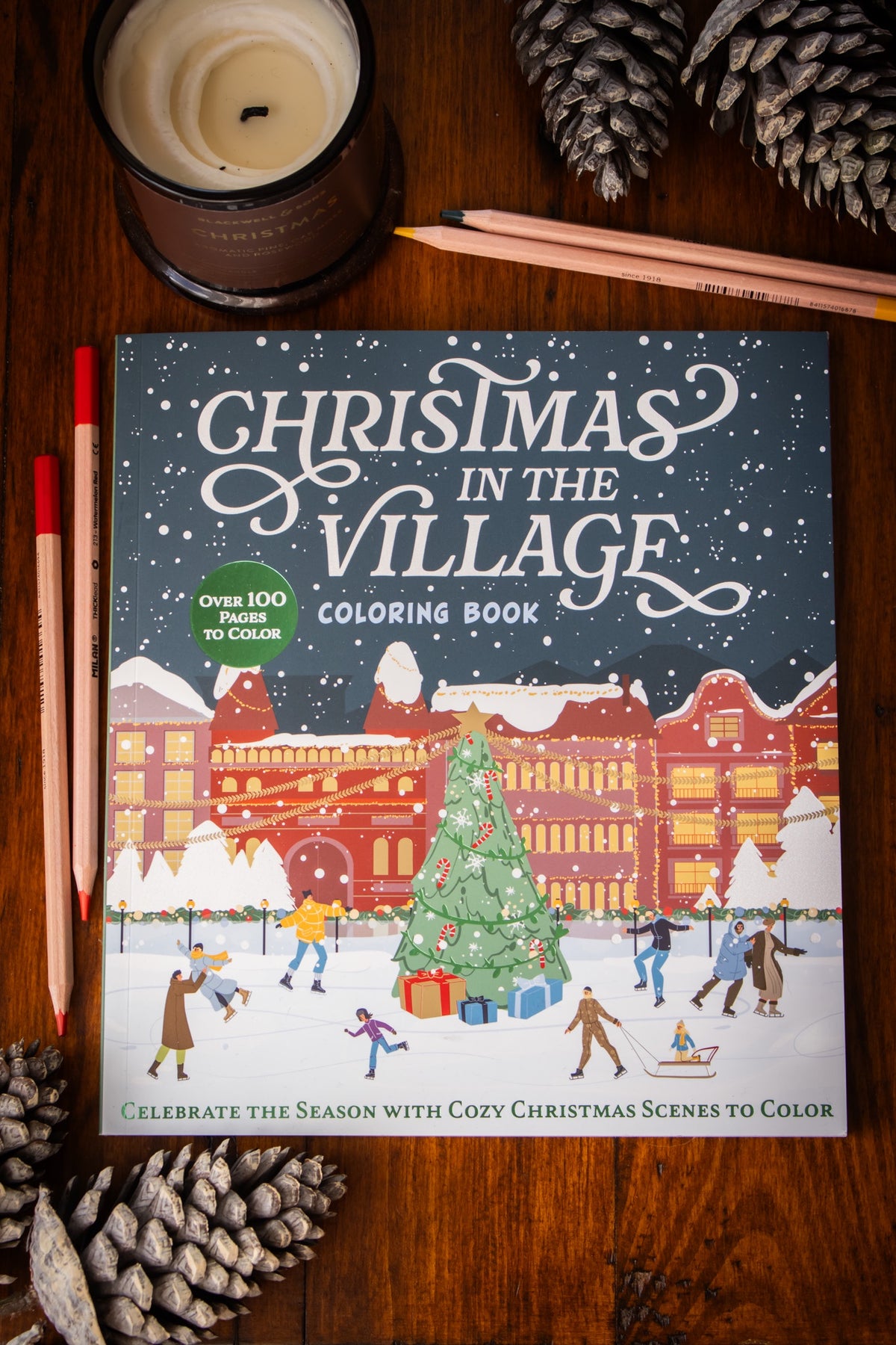 Christmas in the Village Colouring Book