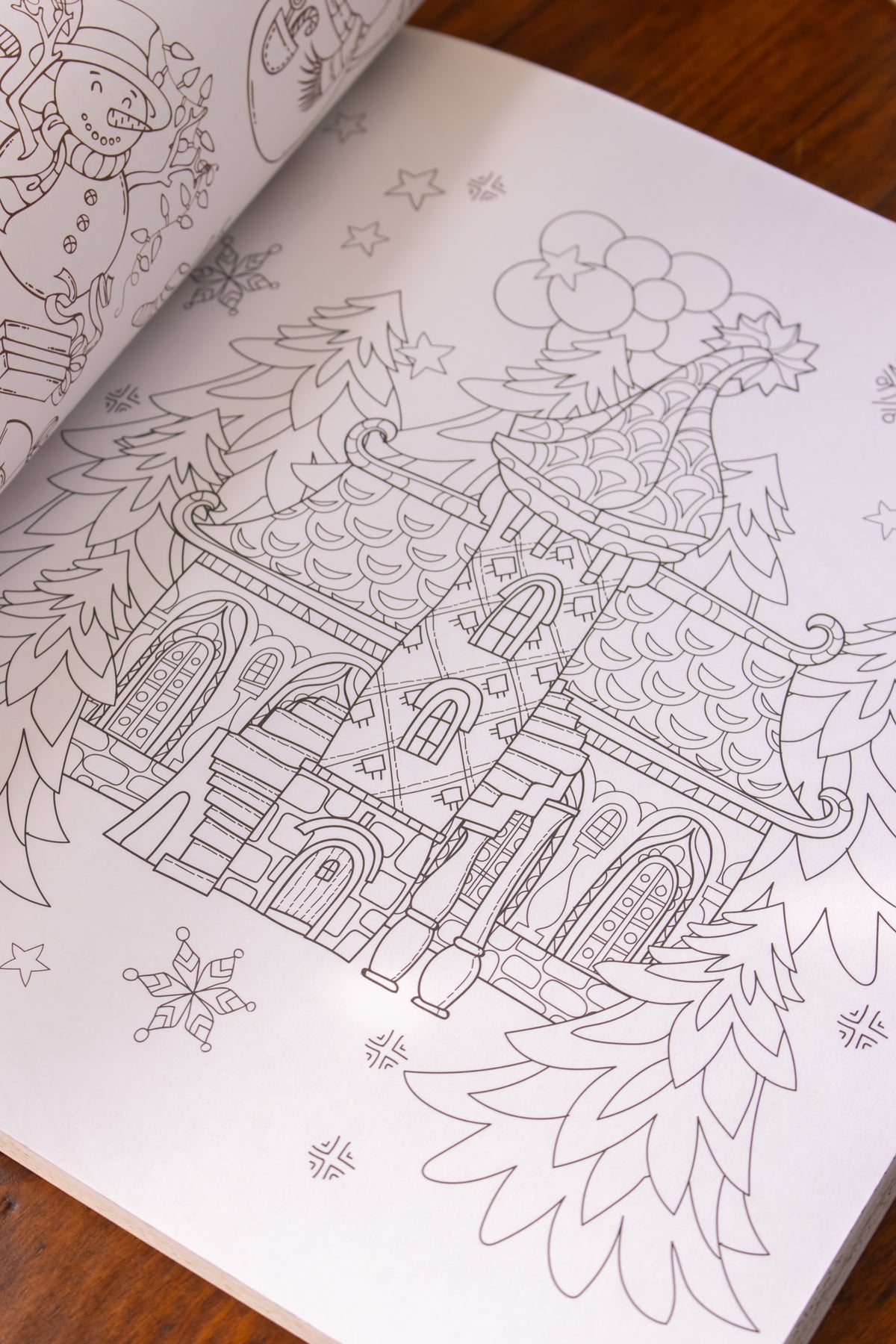 Christmas in the Village Colouring Book