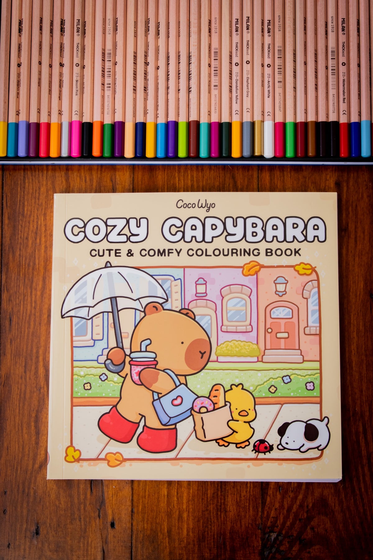 Cozy Capybara