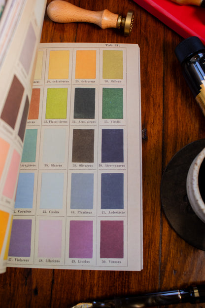 Curious Collections Sticker Book, The