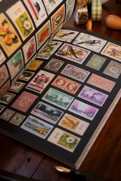 Curious Collections Sticker Book, The