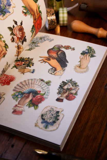 Curious Collections Sticker Book, The