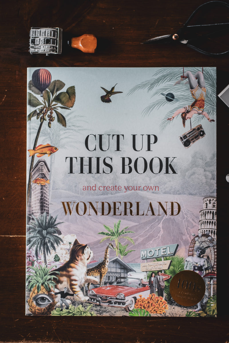 Cut Up This Book and Create Your Own Wonderland