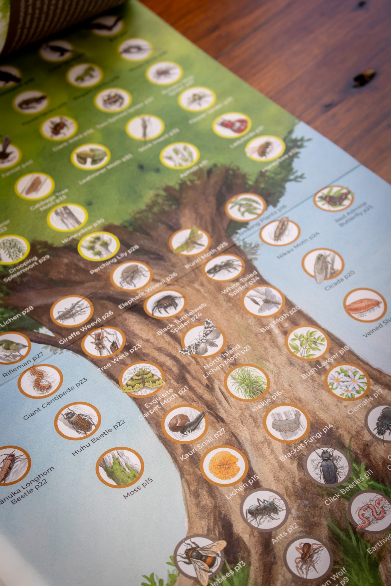 The Living Tree