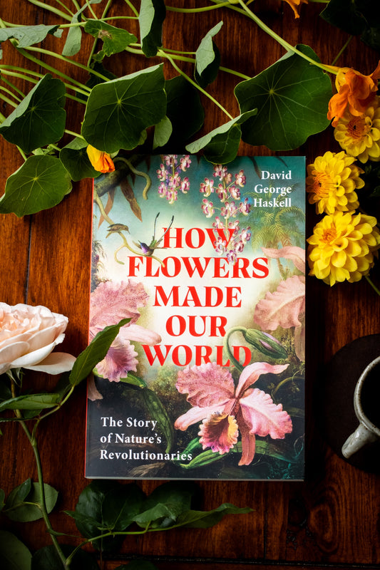How Flowers Made Our World