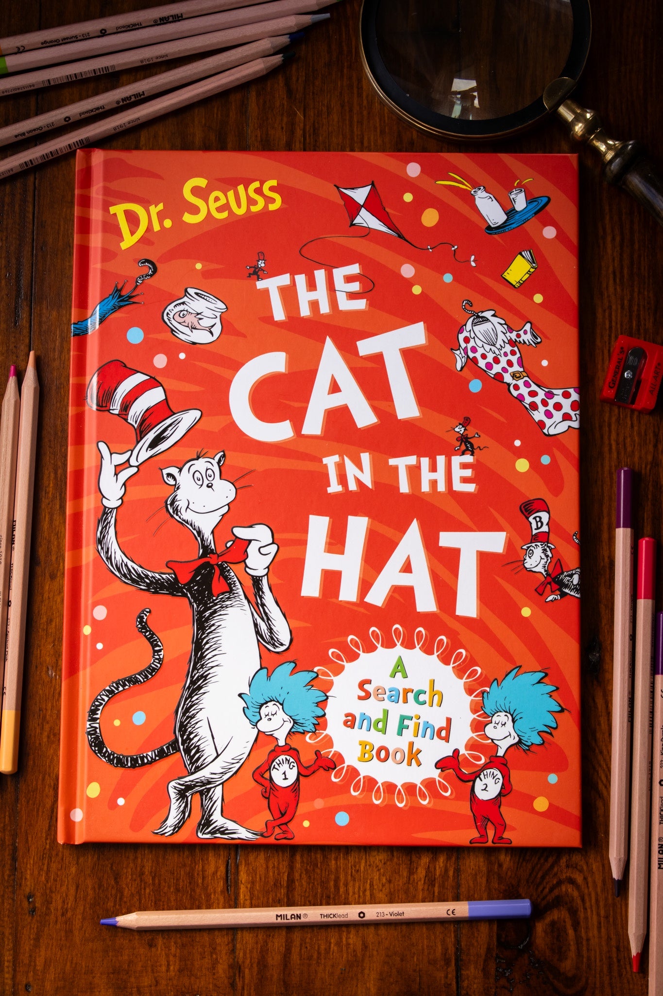 Cat in the Hat Search and Find