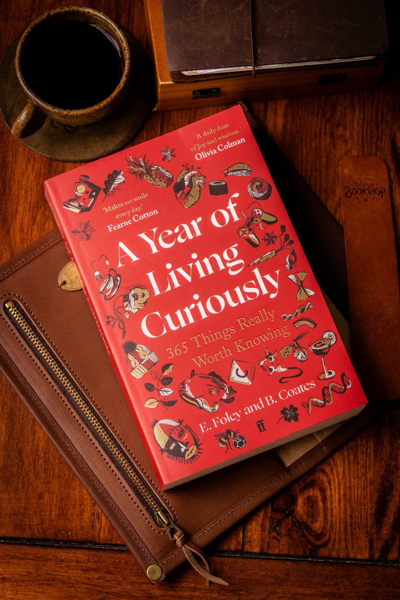 Year of Living Curiously (Paperback)