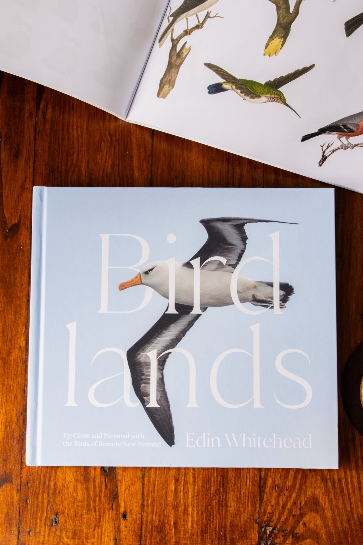 Birdlands