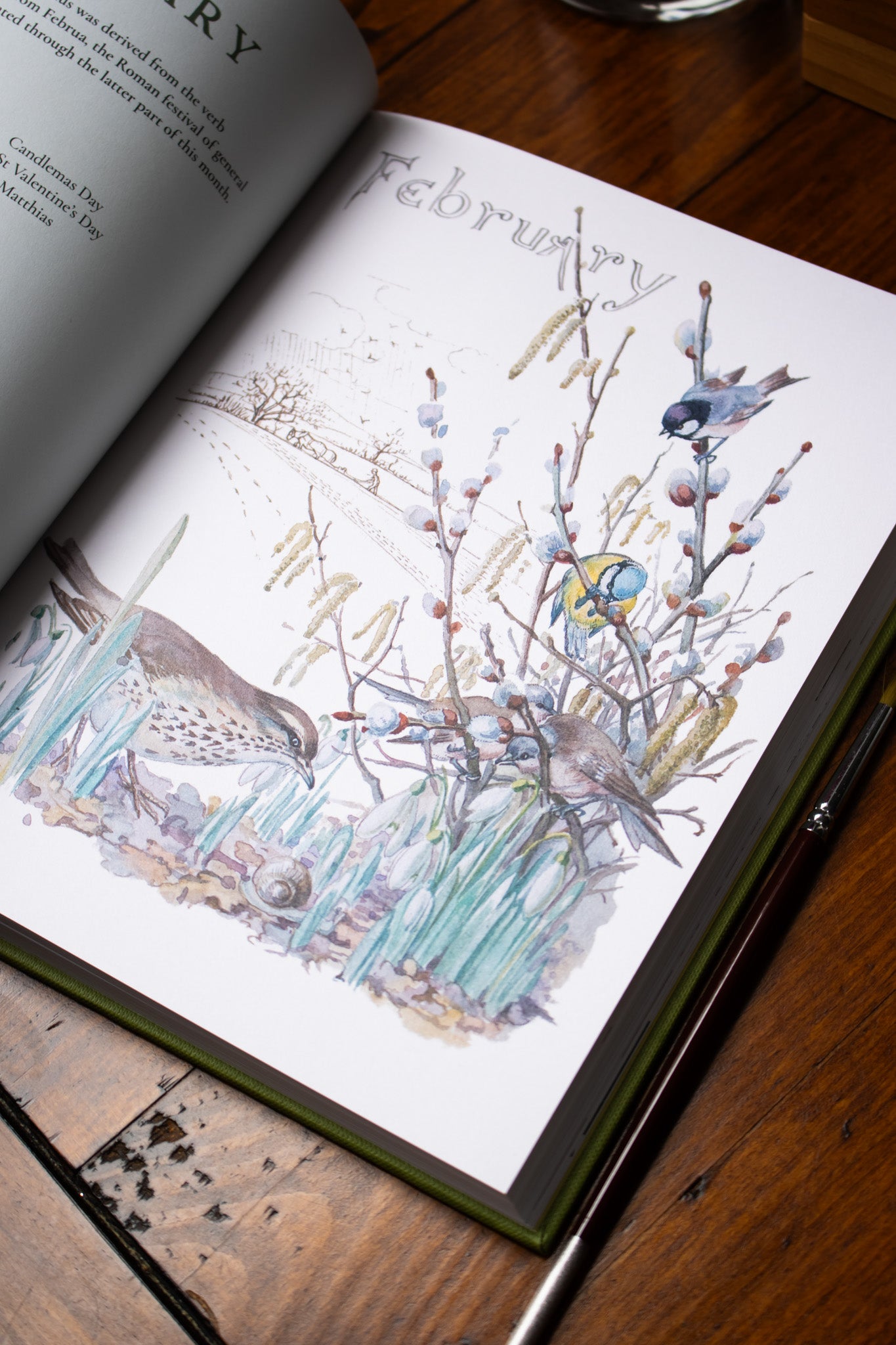 Nature Notes of An Edwardian Lady