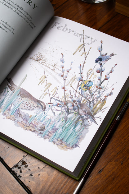 Nature Notes of An Edwardian Lady