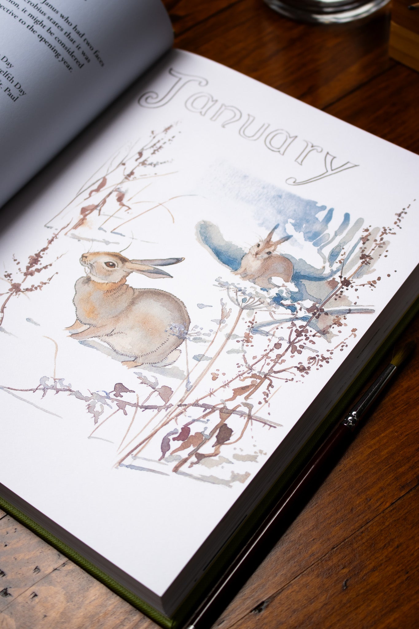 Nature Notes of An Edwardian Lady