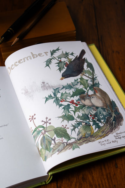 Nature Notes of An Edwardian Lady